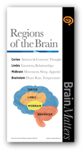 Brain Matters - Small Poster